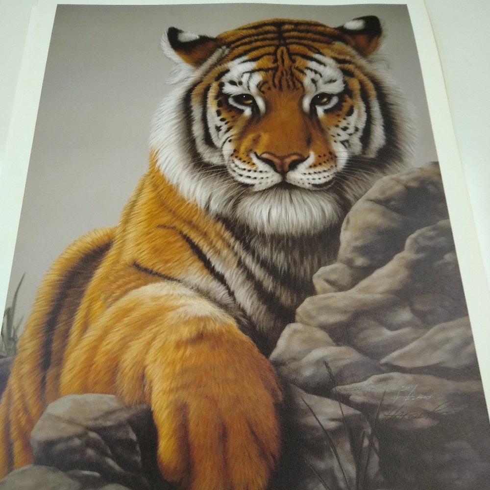 Bengal Tiger VI by Harold Rigsby Artist Proof
